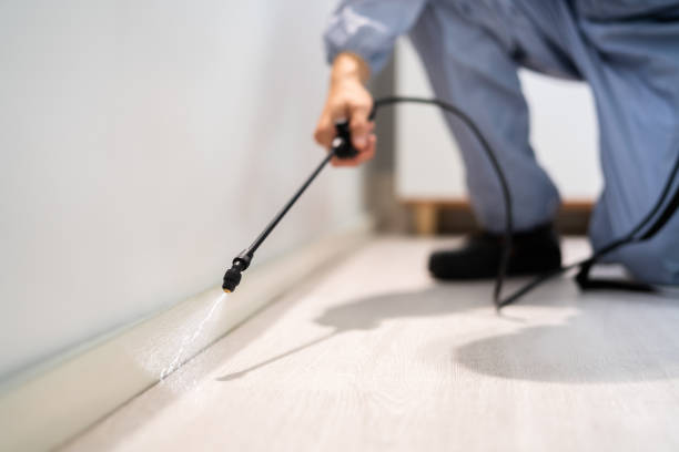 Licensed Termite Control service in Waterloo, WI - Show Me Pest Control